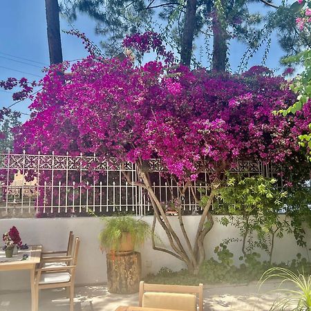 Carikci Hotel Marmaris Zewnętrze zdjęcie