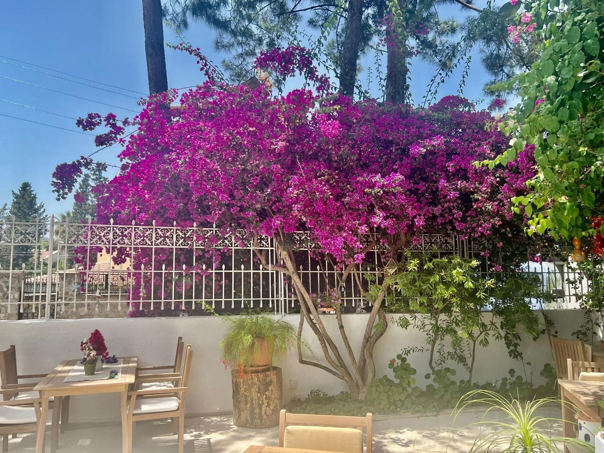Carikci Hotel Marmaris Zewnętrze zdjęcie